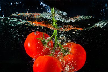 Suya düşen taze kırmızı domates. Su sıçraması ve siyah arka planda izole edilmiş hava kabarcıkları..