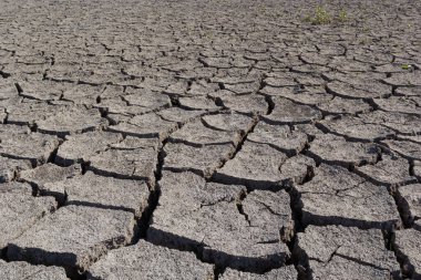 Kurak mevsimde kuru arazi, toprak çatlakları, sıcak su yok. Küresel çatlamış toprağın nemsizlik etkisi kuraklık soyut doğa arka planında çatlak toprakla birlikte.