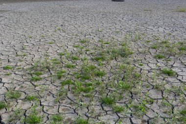 Kurak mevsimde kuru arazi, toprak çatlakları, sıcak su yok. Küresel çatlamış toprağın nemsizlik etkisi kuraklık soyut doğa arka planında çatlak toprakla birlikte.