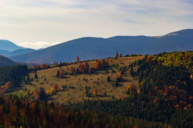 Karpatlar 'da sıcak bir akşam. Dağlarda yaz manzarası. Ukrayna, Avrupa.