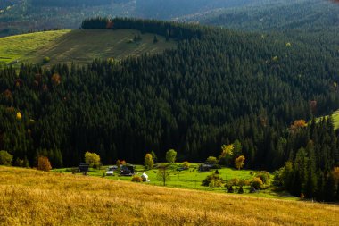 Karpat Dağları, Ukrayna 'da kırsal çayırları olan güzel bir manzara..