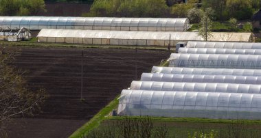 Seralar arka arkaya dizildi, şeffaf bir film ile kaplı sebze ve meyveler, üst manzara. Tarım, organik ürünler.
