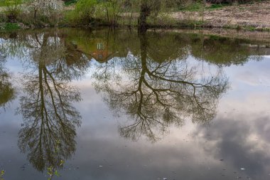 Early spring in the city park. Amazing view of the pond. City park in winter scenery. Beautiful little pond in early spring .