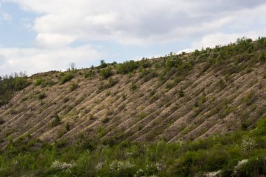 Yeşillikle kaplı vadi manzaralı. Jeolojik kusurları olan manzara vadisi. Yeryüzü dağları ve tümsekler gökyüzüne karşı rahatlıyor. Çıkıntıları ve aralıkları olan tepe kirişi. Ot ve ağaçlar bayır kanyonunda.
