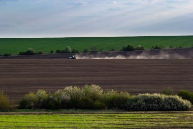 Beautiful spring landscape. Agricultural field with freshly cultivated soil. Trees in a plowed field. Rows of small green wheat. Sunny spring morning.