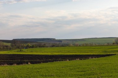 View of a spring plowed field, a tree, and a beautiful sky with clouds.