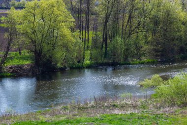 beautiful view of the river and the lush green vegetation around. Tranquil scene.