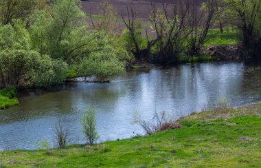 Landscape beautiful alluvial forest at the river in back light in spring.