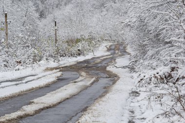 A country road through the forest, a wet road with snow falling from the trees.