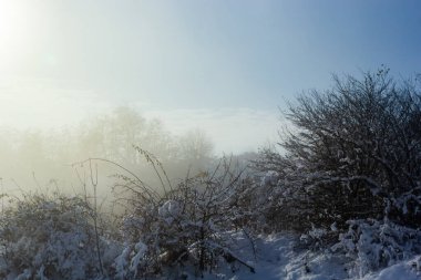 Karla kaplı ağaçlarla güzel bir kış manzarası. Mavi gökyüzü ve desenli kar. Kış Masalı.