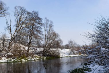 winter river, trees in the snow, view of the snow-covered forest.