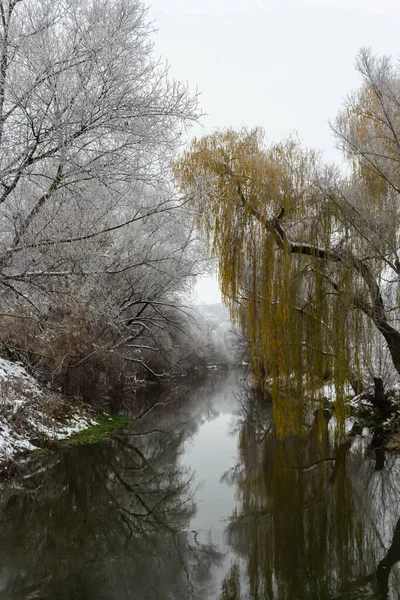Zimowy Krajobraz Ośnieżone Drzewa Pobliżu Rzeki Ponury Zimowy Dzień — Zdjęcie stockowe