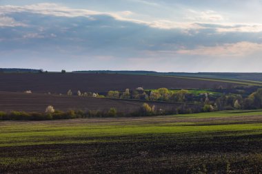 View of a spring plowed field, a tree, and a beautiful sky with clouds.