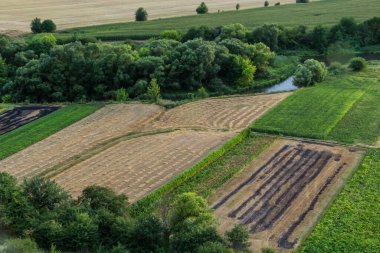 Agricultural Rolling Spring Autumn Landscape. Natural Landscape In Brown And Yellow Color. Waved Cultivated Row Field And Tree. Striped Undulating Unreal Abstract Plowed Field.