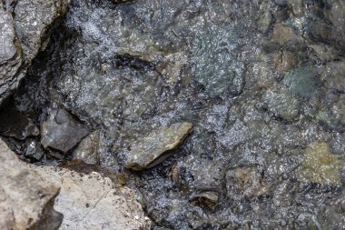 Nehir suyu, sörf, kayalık sahil, temiz su rezervuarının üst manzarası..