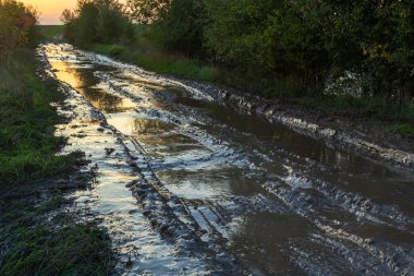 Vanishing dirt road with deep rut and puddles in village at sunset.