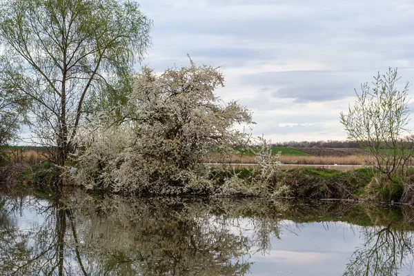 Vorfrühling Stadtpark Toller Blick Auf Den Teich Stadtpark Winterlicher Landschaft — Stockfoto