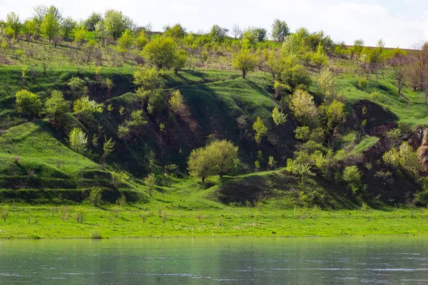 View Dniester River Spring River Surrounds Mountain Slopes Covered Lush — Stok fotoğraf