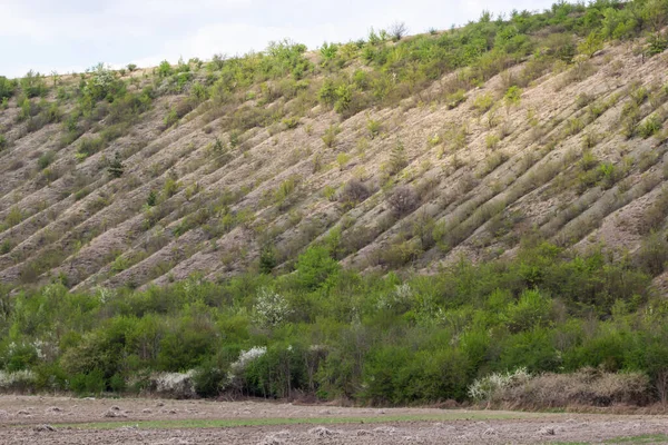 緑に覆われた渓谷を表示します 地質学的欠陥のある風景谷 地上の山々や空に対するバンプの救済 突起と凹部と丘のビーム 斜面峡谷に草や木 — ストック写真