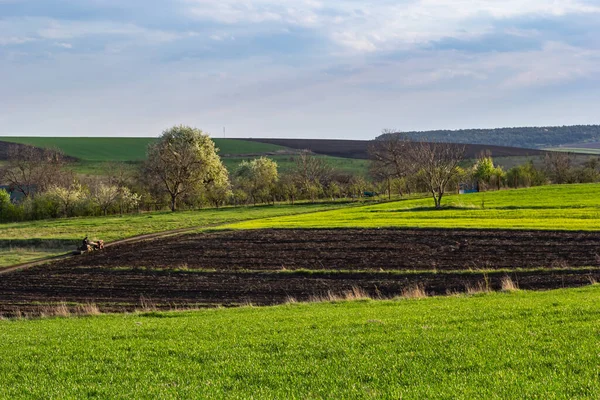 Beautiful Spring Landscape Agricultural Field Freshly Cultivated Soil Trees Plowed — Stock Photo, Image