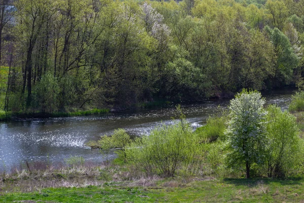 美丽的河景和茂密的绿色植被 平静的场景 — 图库照片
