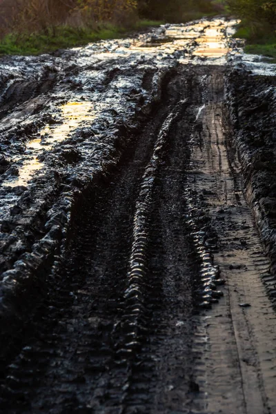 Vanishing Dirt Road Deep Rut Puddles Village Sunset — Stockfoto