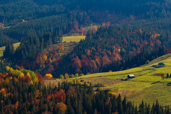 Vackert Höstlandskap Fantastisk Höstutsikt Över Fjälldalen Underbar Morgon Scen Bergsbyn — Stockfoto