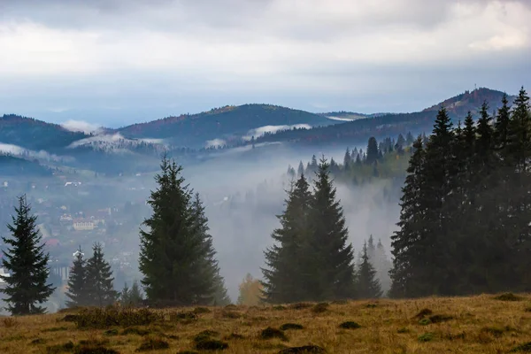 山の中で霧と秋の風景 丘の上の平らな森 カルパチア人 ウクライナ ヨーロッパ 高品質の写真 — ストック写真
