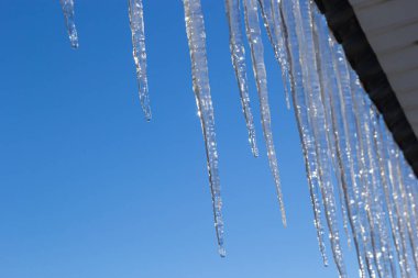 Icicles parlak mavi gökyüzüne karşı bir evin çatısında asılı. Evin çatısından sarkan buz saçakları olan bahar manzarası. Buz saçakları, kar şapkaları..