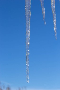 Keskin buz saçakları ve çatısından sarkan erimiş kar. Güzel şeffaf buz saçakları yavaşça bir çatının üzerinde süzülüyor..