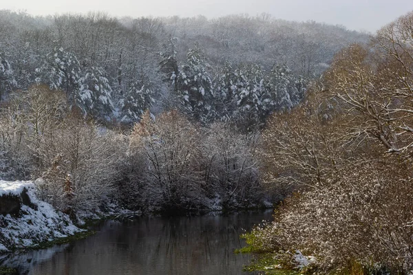 winter river, trees in the snow, view of the snow-covered forest.