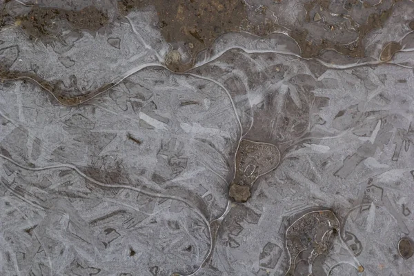 Gyönyörűen Befagyott Víz Egy Pocsolyában Légbuborékok Jégben Fagyasztott Sár — Stock Fotó
