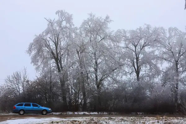 Kış Manzaralı Donmuş Yol Çayır Ağaçlarla Dolu Bol Karlı — Stok fotoğraf