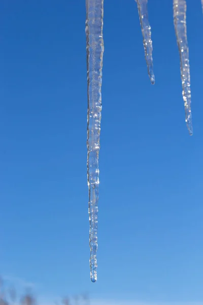 Éles Jégcsapok Olvadt Lóg Tető Eresztékéről Gyönyörű Átlátszó Jégcsapok Lassan — Stock Fotó