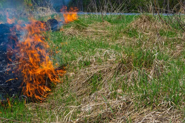 Bruciando Vecchia Erba Secca Giardino Erba Secca Fiammeggiante Campo Incendio — Foto Stock