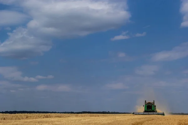 Combine Harvester Harvests Ripe Wheat Ripe Ears Gold Field Cloudy — Stockfoto
