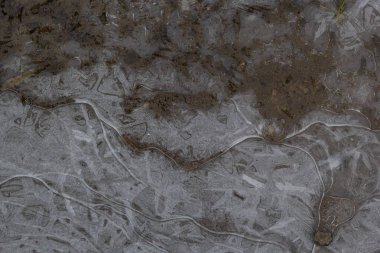 Su birikintisindeki güzel donmuş su. Buzun içindeki hava kabarcıkları. donmuş çamur.
