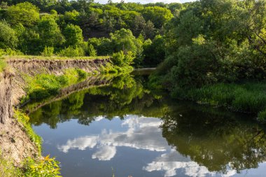 Landscape beautiful alluvial forest at the river in back light in spring.