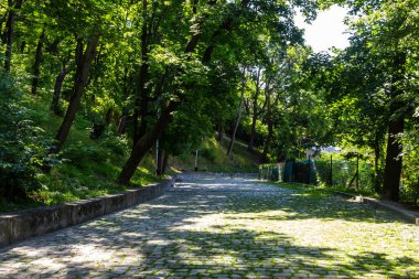 Güzel yeşil bir parkın içinden geçen bir patika. Güneşli bir yaz günü. Ağaçların gölgesi kaldırım taşlarının üstünde.