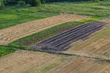 Agricultural Rolling Spring Autumn Landscape. Natural Landscape In Brown And Yellow Color. Waved Cultivated Row Field And Tree. Striped Undulating Unreal Abstract Plowed Field.