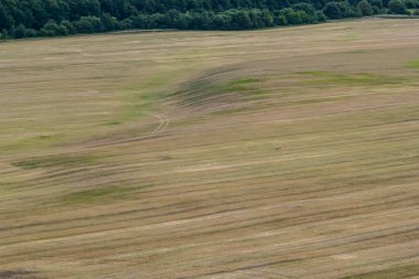 Agricultural Rolling Spring Autumn Landscape. Natural Landscape In Brown And Yellow Color. Waved Cultivated Row Field And Tree. Striped Undulating Unreal Abstract Plowed Field.