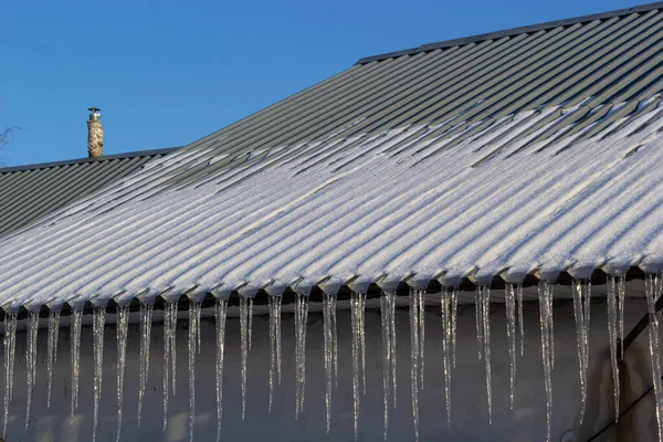 Sharp Icicles Melted Snow Hanging Eaves Roof Beautiful Transparent Icicles — Stock Photo, Image