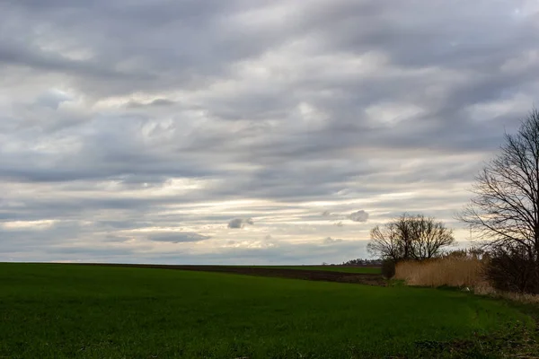 View Spring Plowed Field Tree Beautiful Sky Clouds — Stok fotoğraf