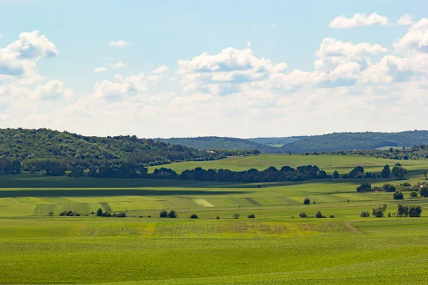 Summer Landscape Hilly Green Field Forest Distance — Photo