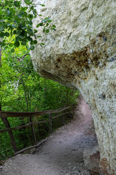 stock image Long trail equipped with gravel steps and wooden handrail for tourists in sunny summer forest. Empty hiking path in Nature park reserve