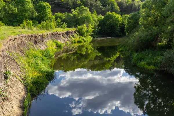 Piękny Widok Rzekę Bujną Roślinność Wokół Scena Spokojna — Zdjęcie stockowe