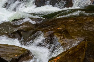 Şelale ve orman Karpat Dağları akışında. Ukrayna. Europe.