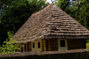 Güneşli bir yaz gününde ormanın arka planında sazdan bir çatı altında geleneksel Ukrayna eski evi.
