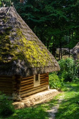 Güneşli bir yaz gününde ormanın arka planında sazdan bir çatı altında geleneksel Ukrayna eski evi.