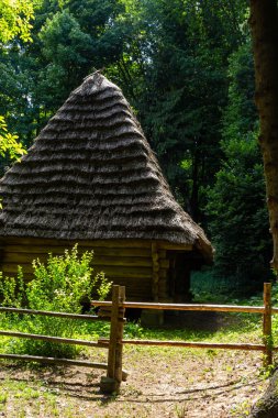 Güneşli bir yaz gününde ormanın arka planında sazdan bir çatı altında geleneksel Ukrayna eski evi.